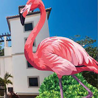 From Wings To Cities